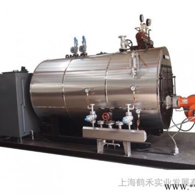 臥式2噸鍋爐油鍋爐（橡膠機(jī)械硫化裝置專用）