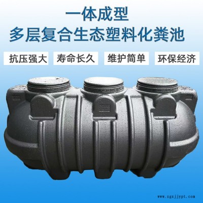 高密度聚乙烯塑料化糞池分體式塑料化糞池廠(chǎng)家制造