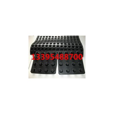 中齊齊全新羅HDPE排水板生產(chǎn)廠家 全國(guó)直銷(xiāo) 批發(fā)價(jià)格低 現(xiàn)貨 新羅HDPE排水板批發(fā)