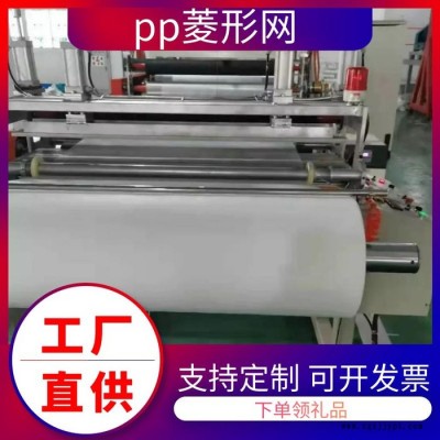 PP菱形網 PP過濾網格 廠家訂貨