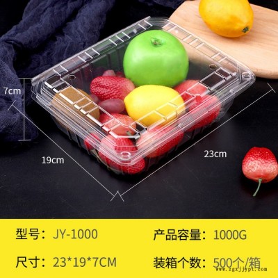 透明PET包裝盒 一次性水果包裝盒 西點盒 多種規格尺寸