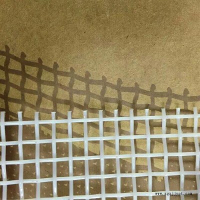 立新供應聚酯方孔網帶烘干網帶 高效PET輸送網帶