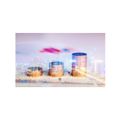 外商獨資企業