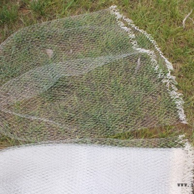 宏達漁具 ** 白單絲 抄網頭 釣魚線 大眼小眼密眼膠絲抄網 涂膠抄網