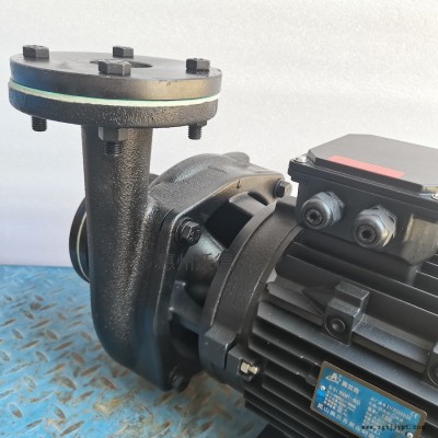 RGP-100-180奧蘭克高溫熱油循環泵 模溫機泵