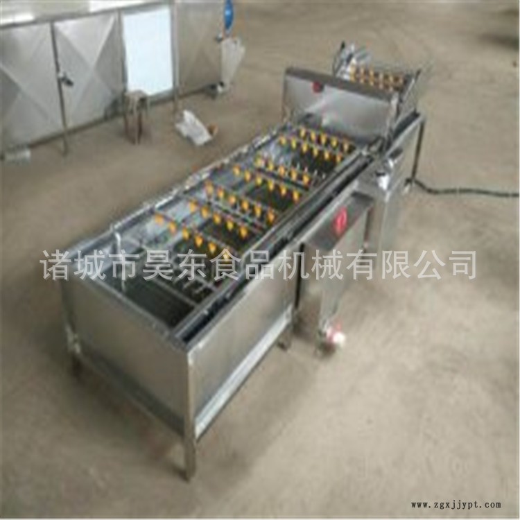 海帶專用清洗機 機械手海帶清洗機 裙帶菜機械手清洗機示例圖1